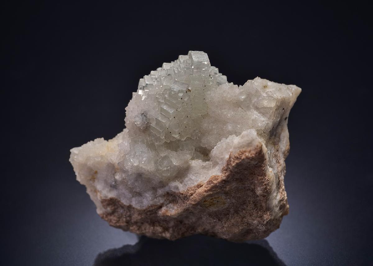 CC12996 specimen image