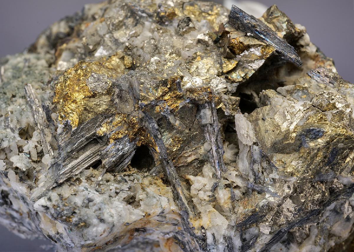 CC12997 specimen image