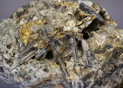 CC12997 specimen image