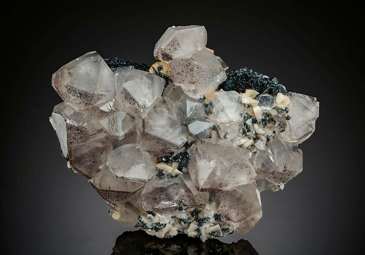 CC12998 specimen image
