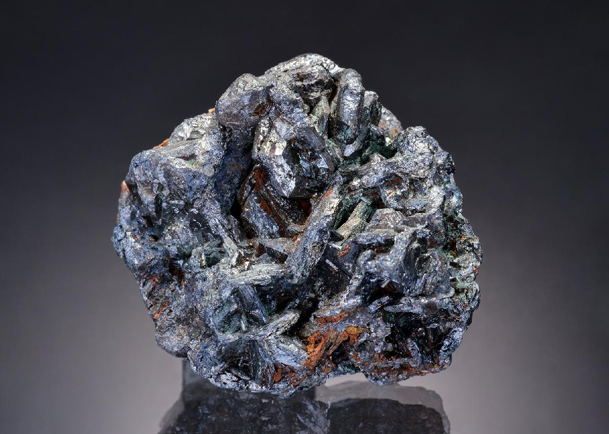 CC13001 specimen image