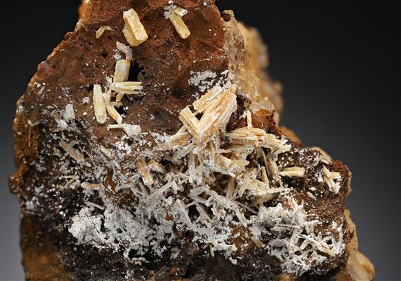 CC13002 specimen image