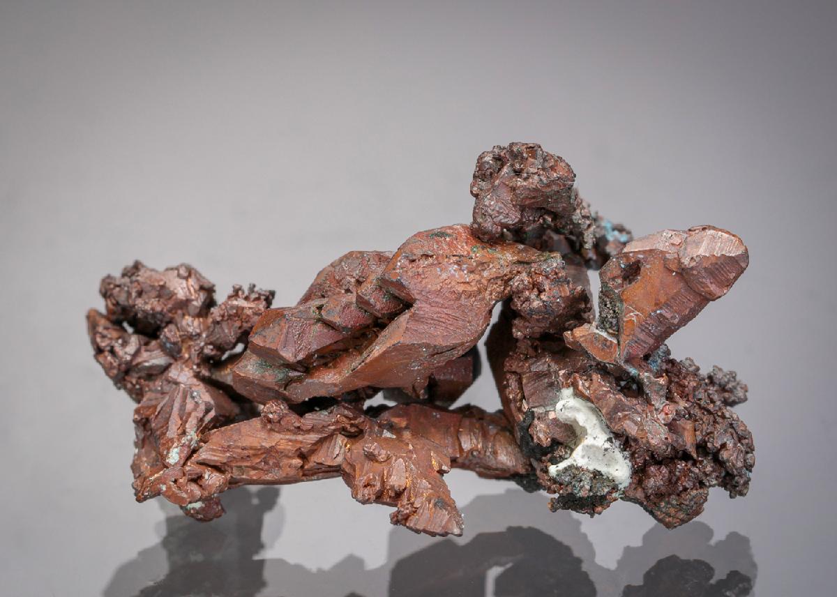 CC13010 specimen image