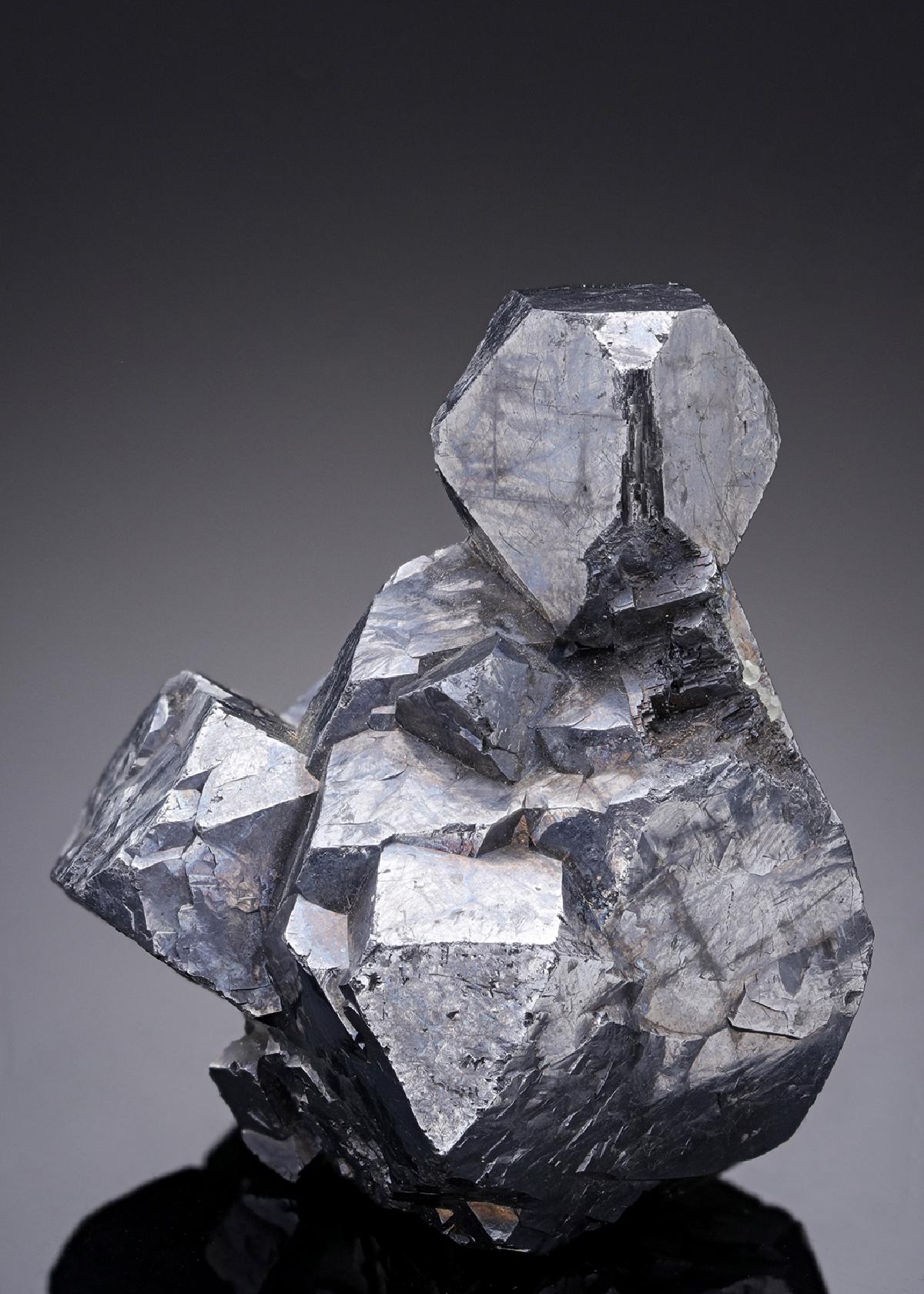 CC13011 specimen image