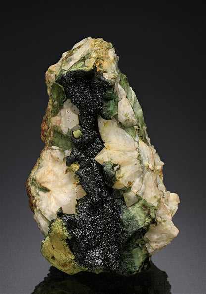 CC13015 specimen image