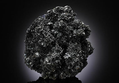 CC13039 specimen image