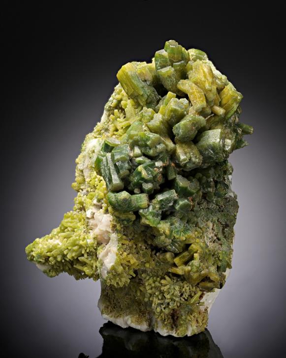 CC13054 specimen image