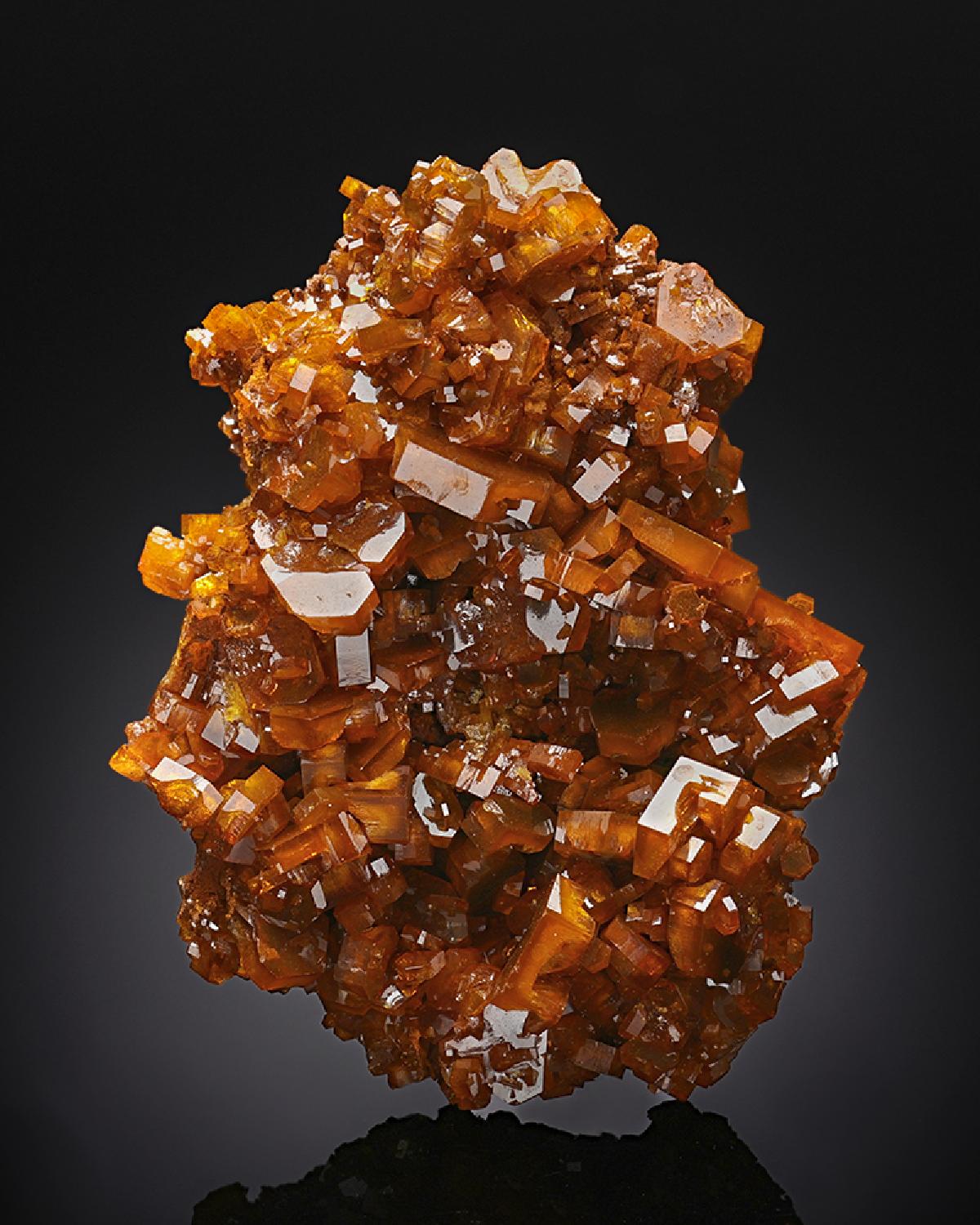 CC13055 specimen image