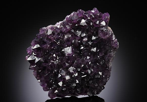 CC13071 specimen image
