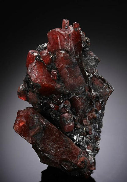 CC13073 specimen image