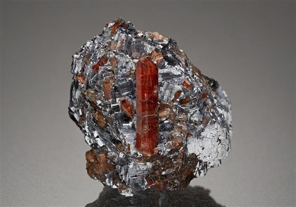 CC13075 specimen image