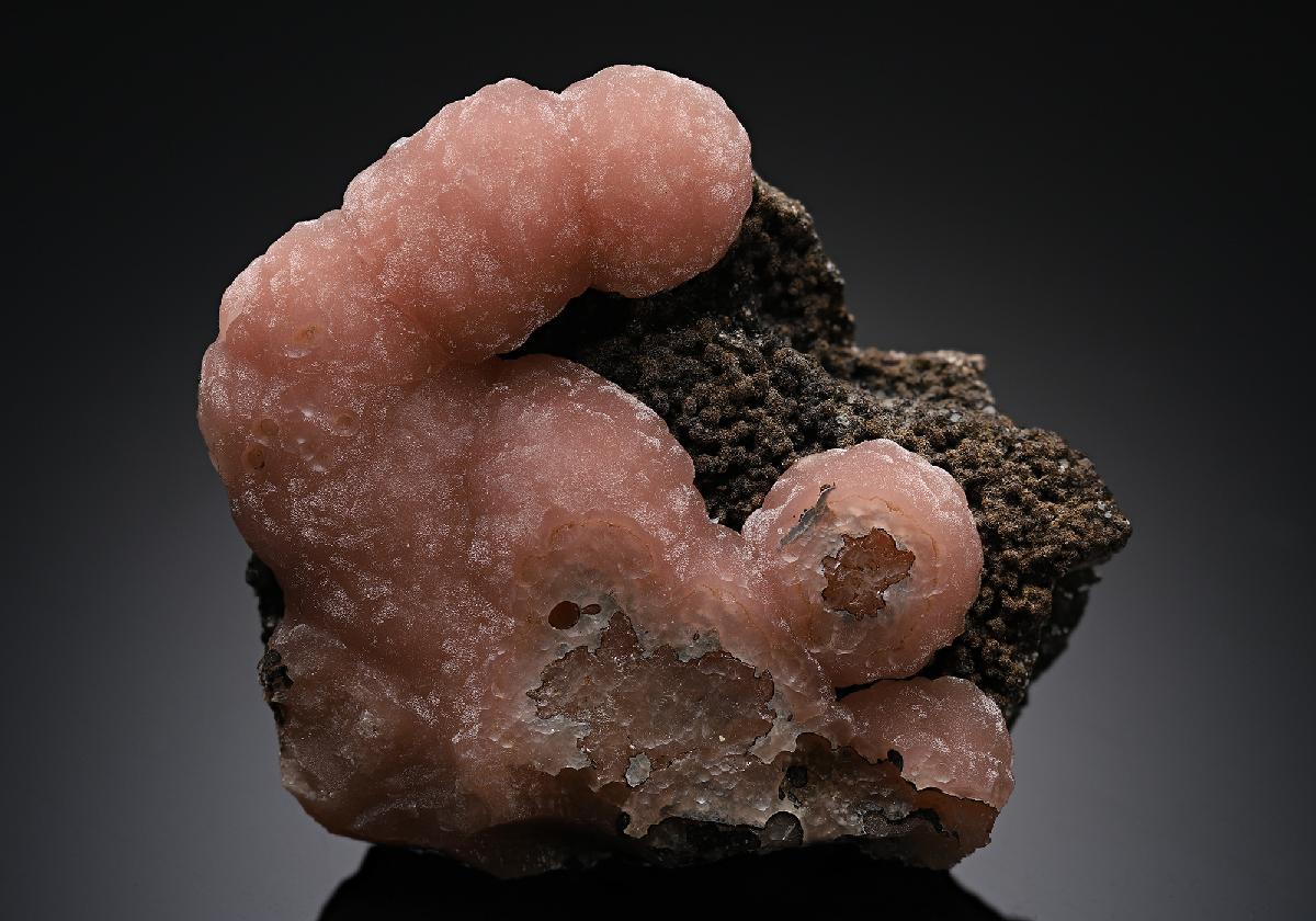 CC13076 specimen image