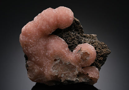 CC13076 specimen image