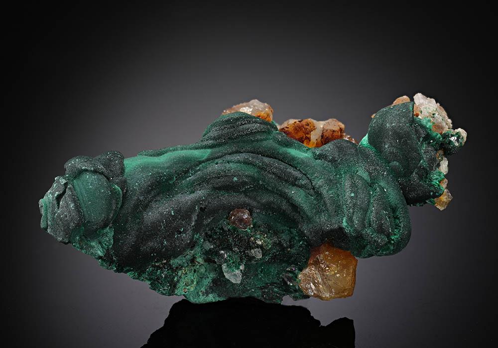 CC13077 specimen image