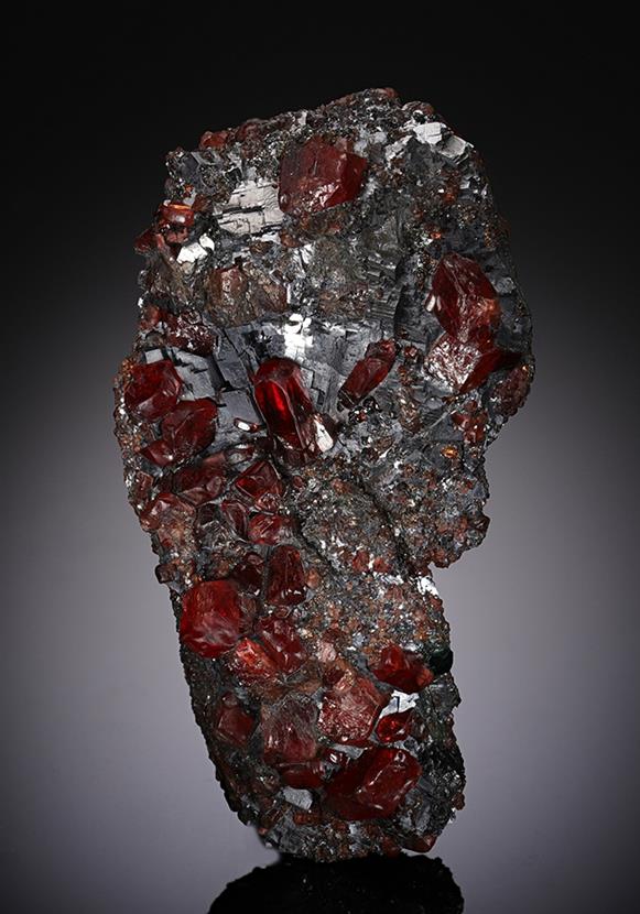 CC13080 specimen image