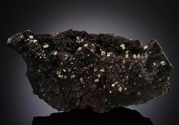 CC13081 specimen image