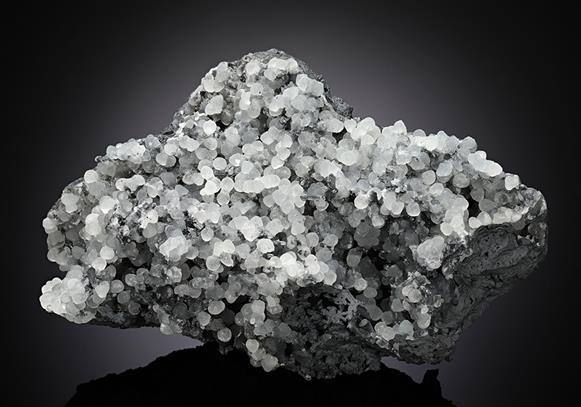 CC13083 specimen image