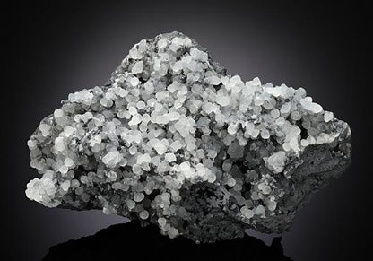 CC13083 specimen image