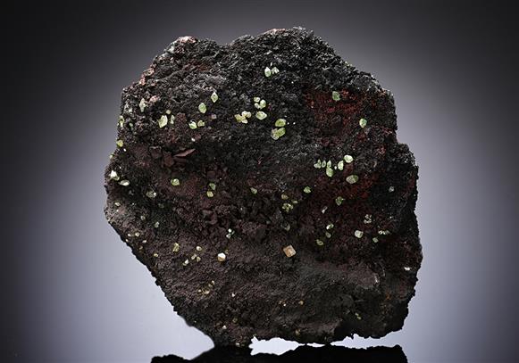 CC13086 specimen image