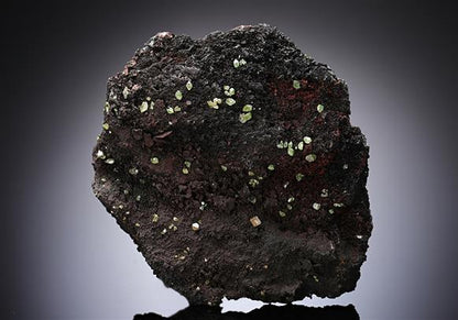 CC13086 specimen image