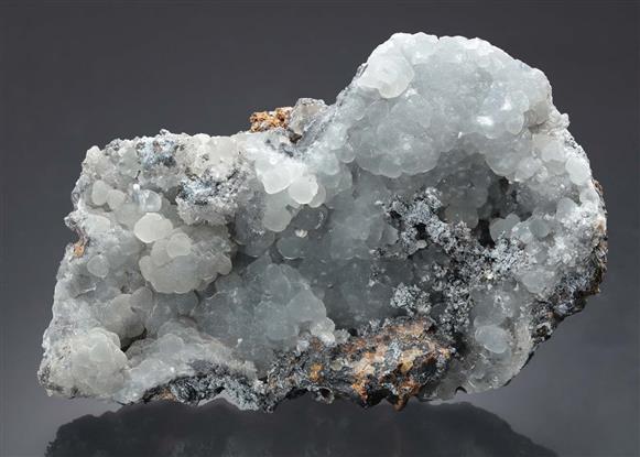 CC13089 specimen image