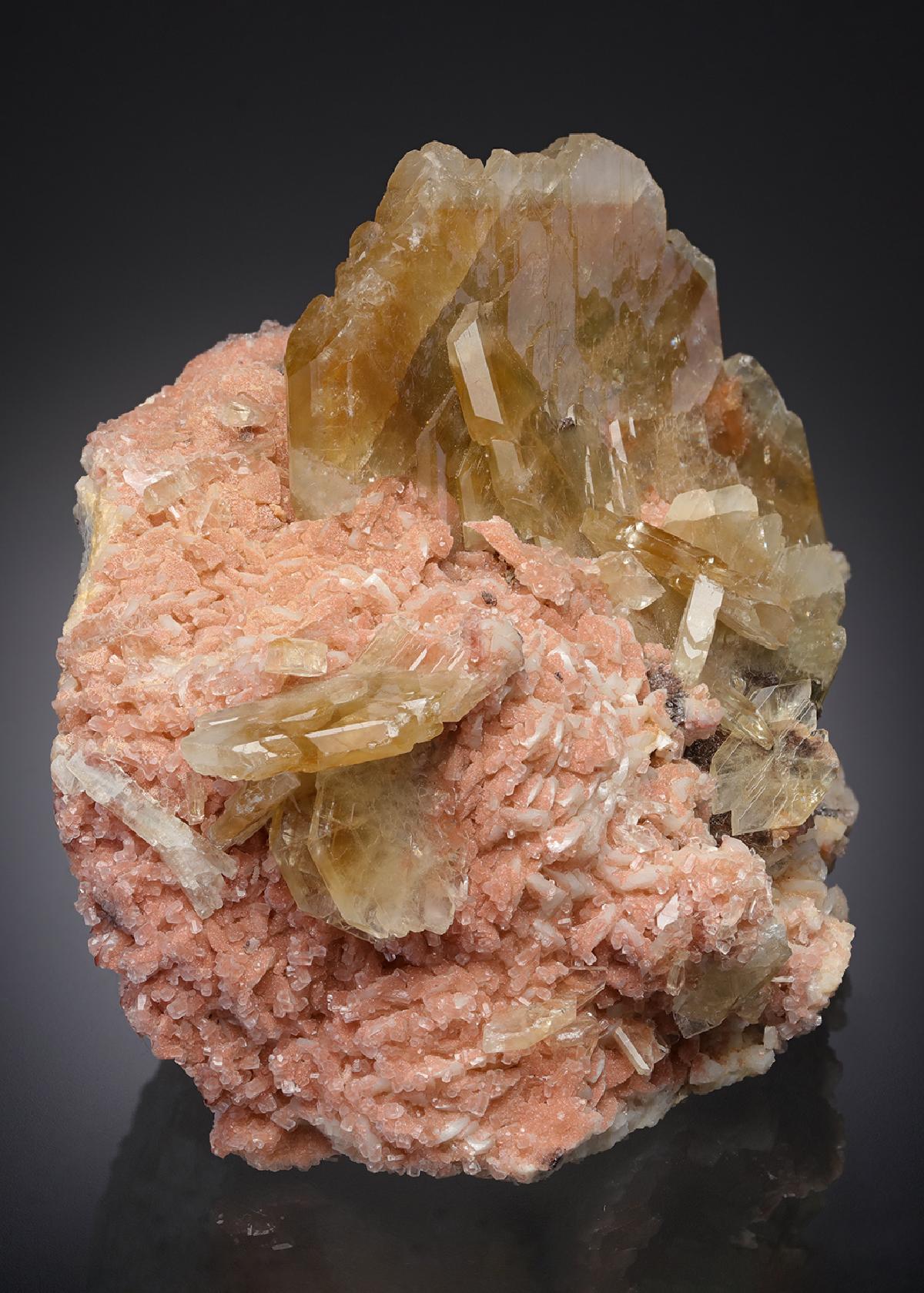CC13090 specimen image