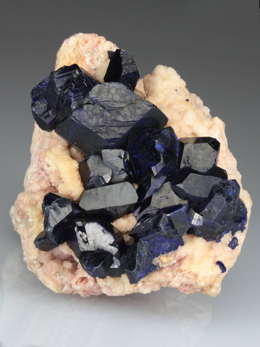 CC1309 specimen image