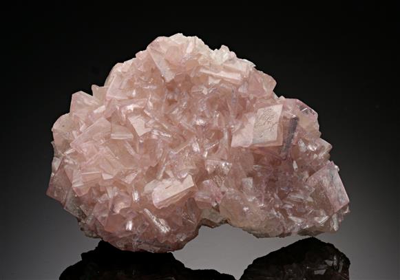 CC13104 specimen image