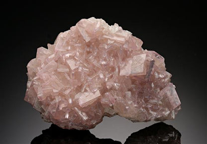 CC13104 specimen image