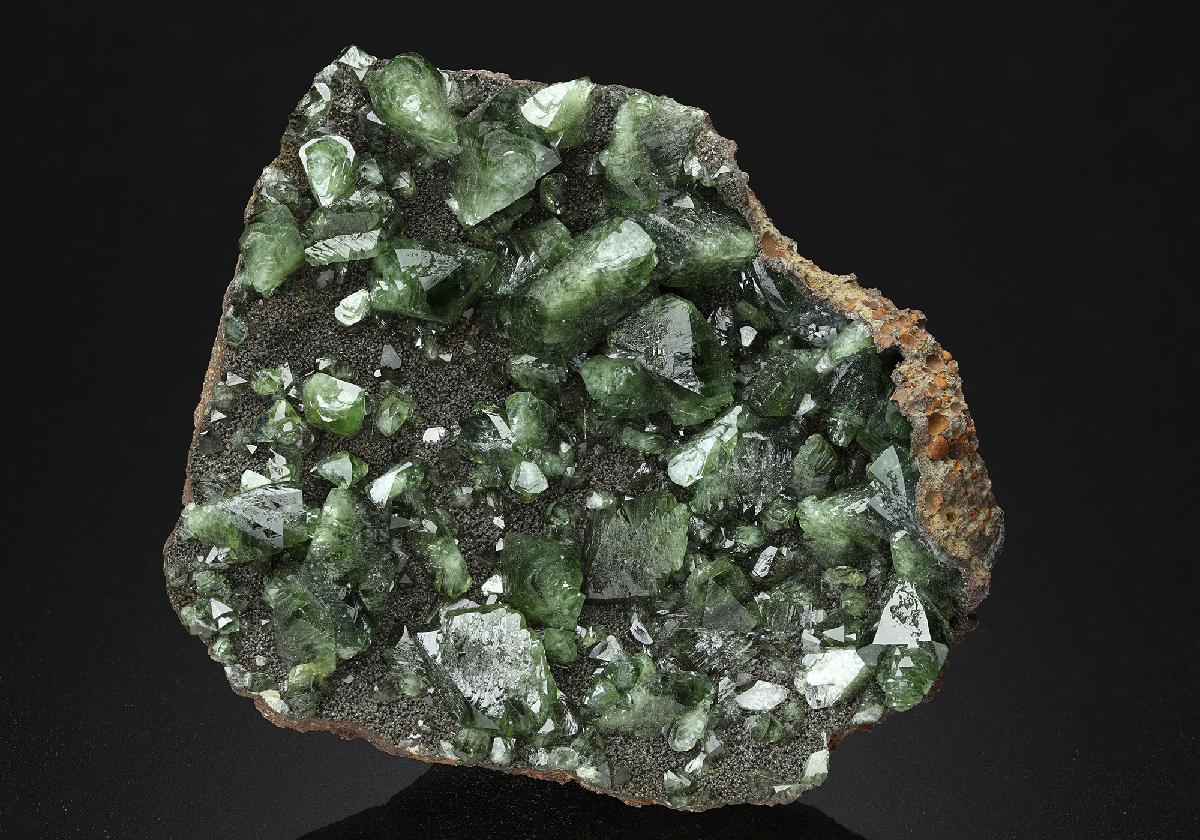 CC13107 specimen image