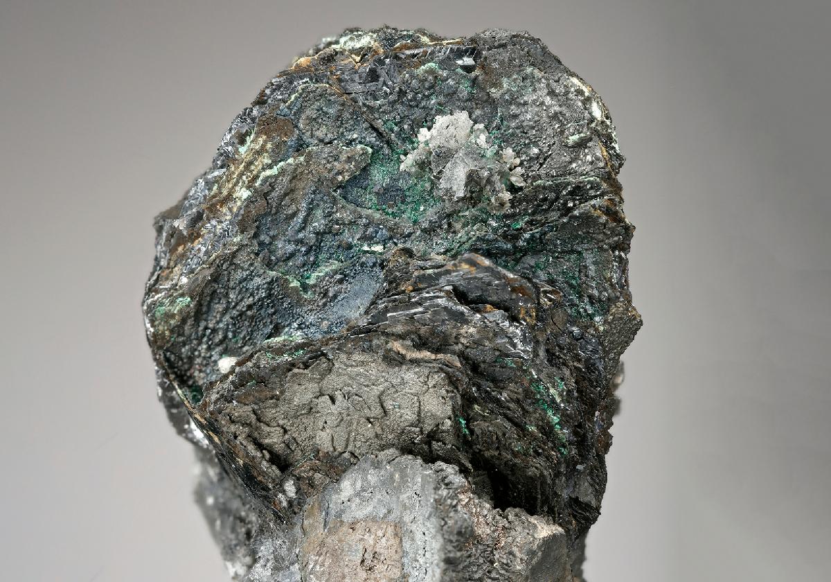 CC13115 specimen image