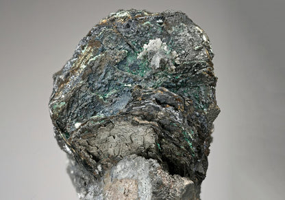 CC13115 specimen image