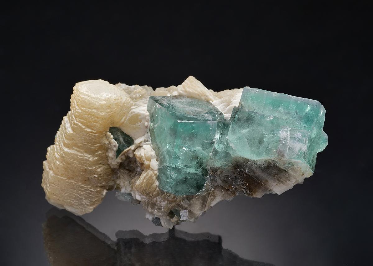 CC13124 specimen image