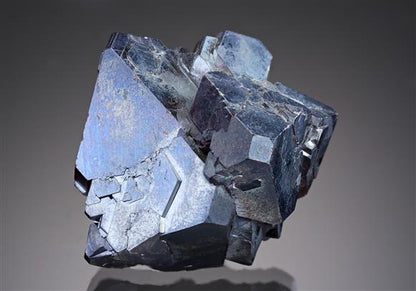 CC13131 specimen image