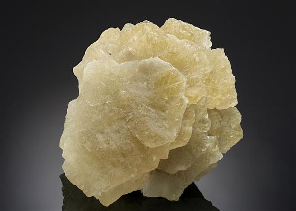 CC13150 specimen image