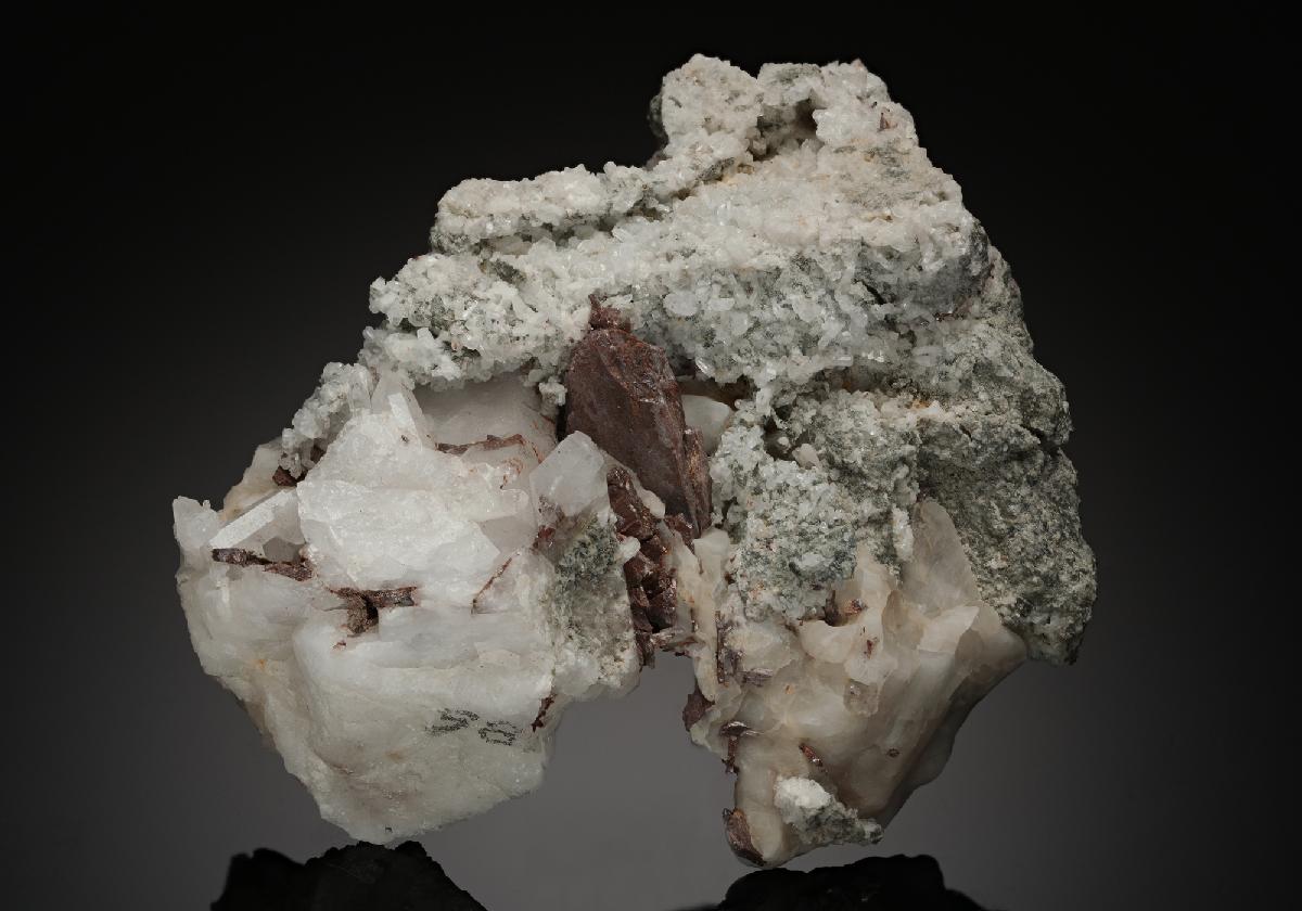 CC13166 specimen image