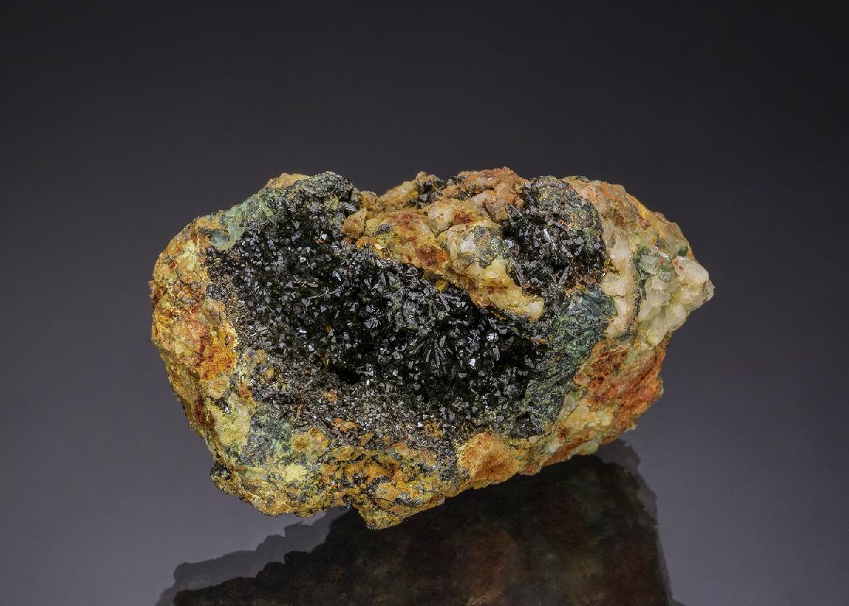 CC13175 specimen image