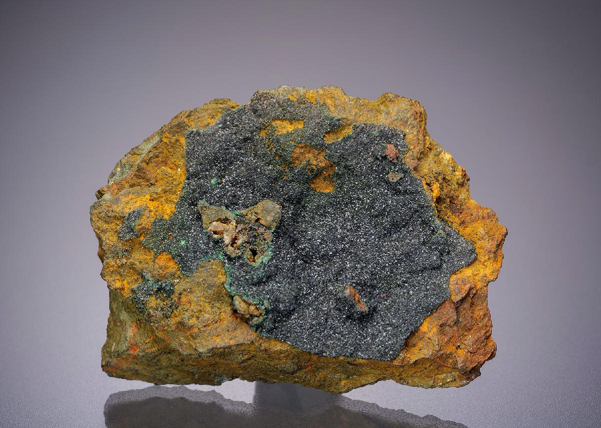CC13177 specimen image