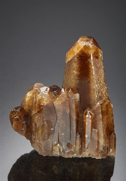 CC13185 specimen image