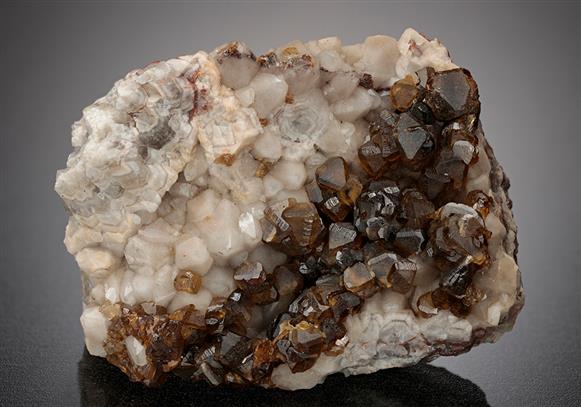 CC13187 specimen image