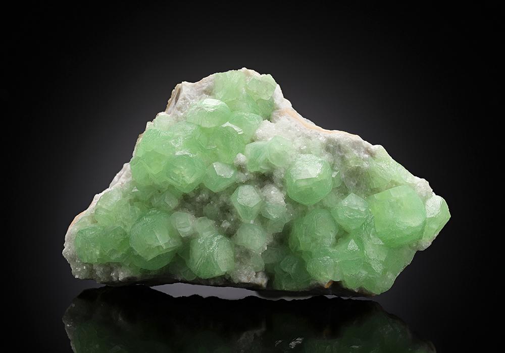 CC13193 specimen image