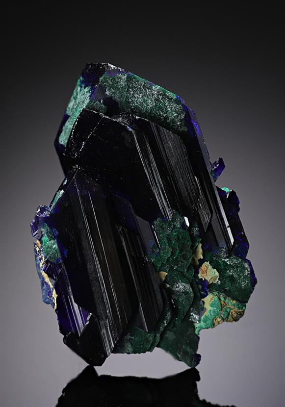 CC13196 specimen image
