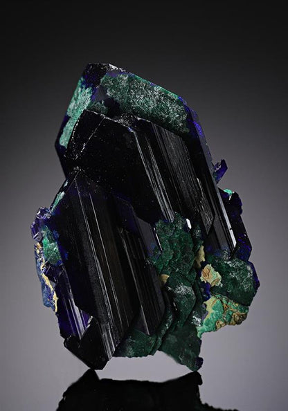 CC13196 specimen image