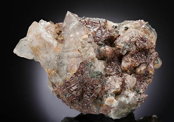 CC13215 specimen image