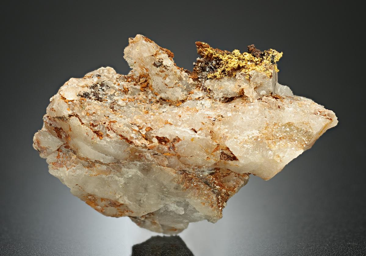 CC13227 specimen image