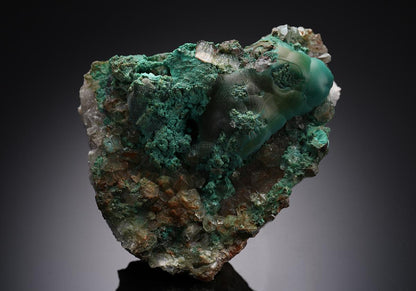 CC13231 specimen image