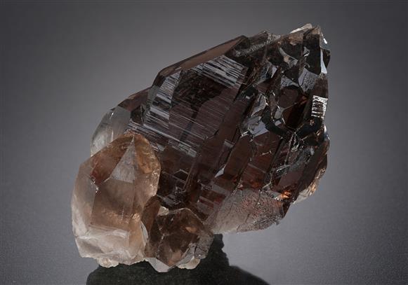 CC13232 specimen image