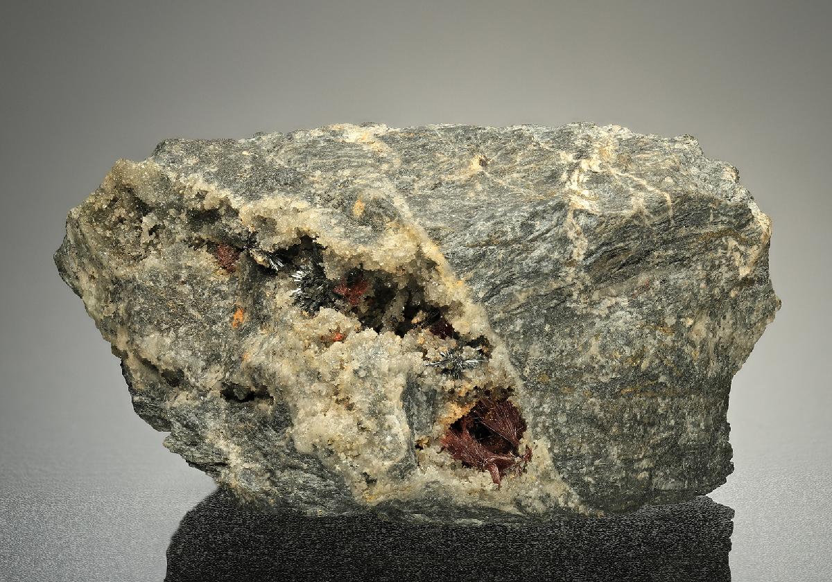 CC13233 specimen image