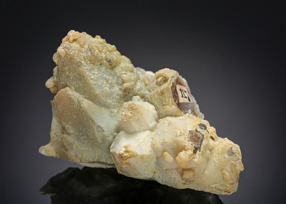 CC13238 specimen image