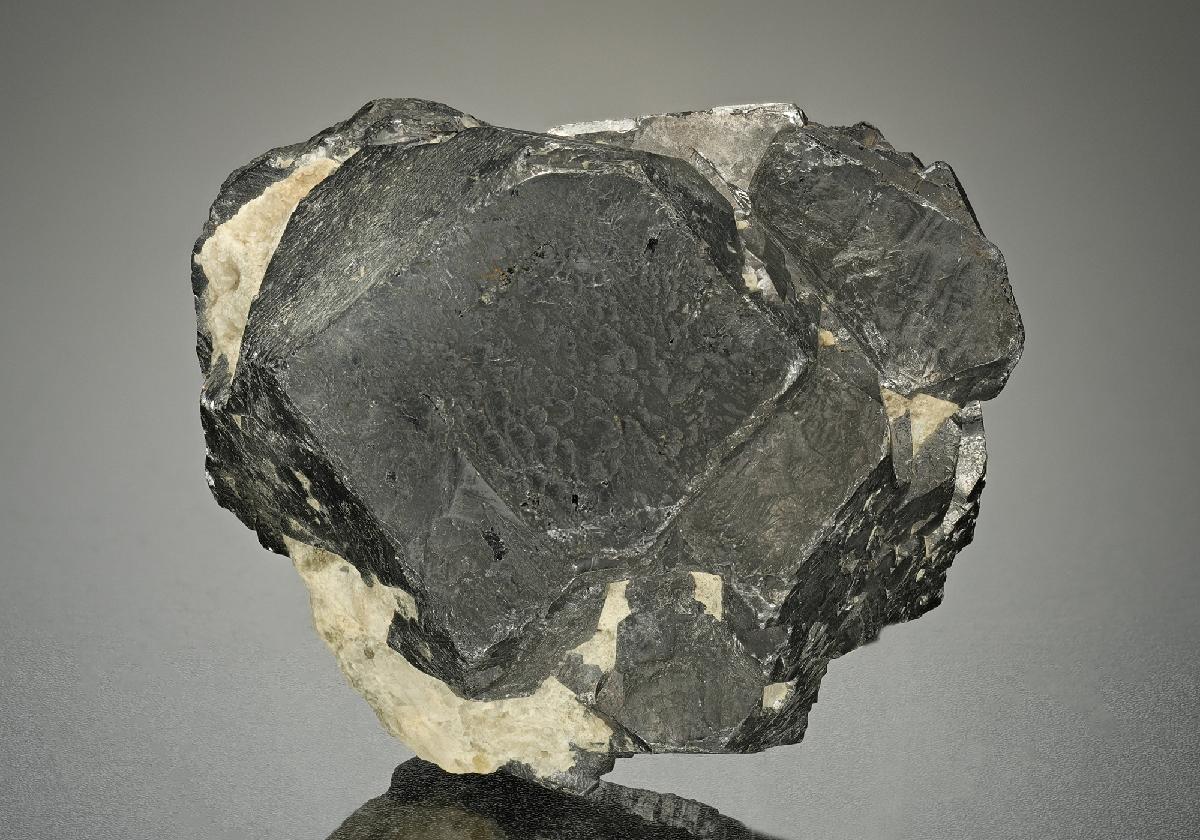 CC13239 specimen image